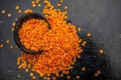 Masoor Dal - Malka daal [1kg]