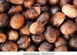 Nutmeg - Jaiphal / Jayikayi