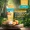 Everyuth Naturals Hydrating & Exfoliating Walnut Apricot Scrub