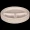 Nabhas Disposable Paper Plate - Bagasse, Round, Eco-Friendly