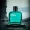 Wild Stone  [100ml]