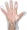 Disposable Polyethylene Gloves [100Pieces]