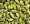 Cardamom - Green Elaichi