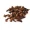 Clove - Lavang / Laung