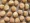 Apricots - Khabani