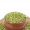 Moong dal chilka [1kg]