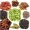 Sabut Garam Masala - Khada Masala [100g]